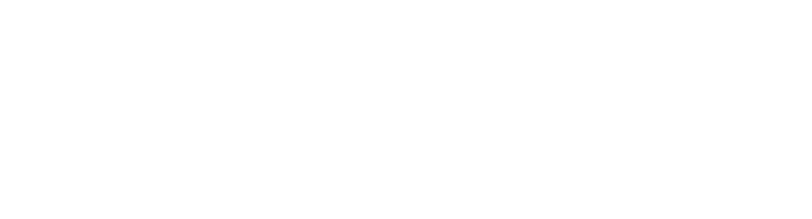 Instituto Federal
